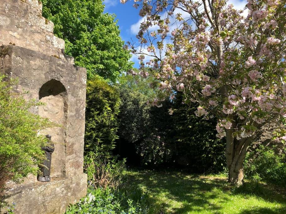 Back Garden 1